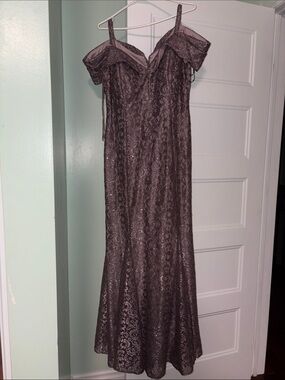R&M Richards Off-Shoulder Lace Gown in Mauve